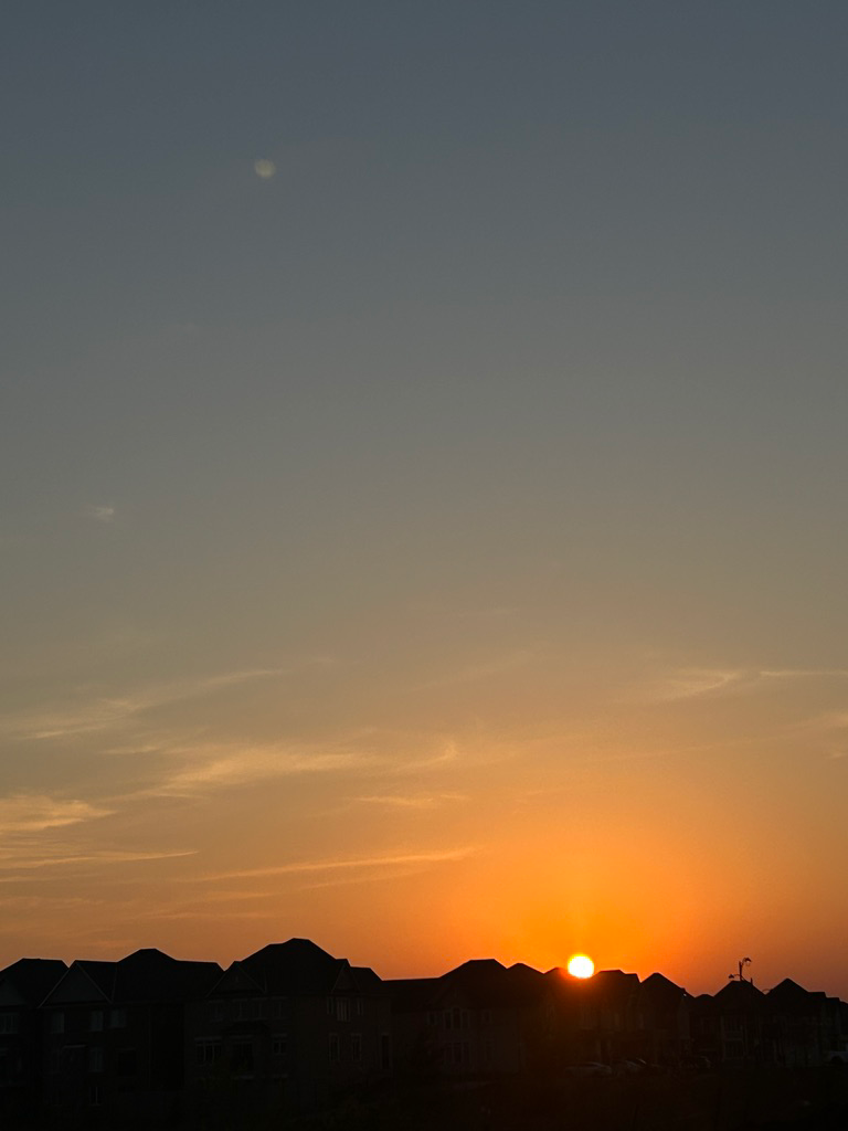 Golden sunset over the rooftops
