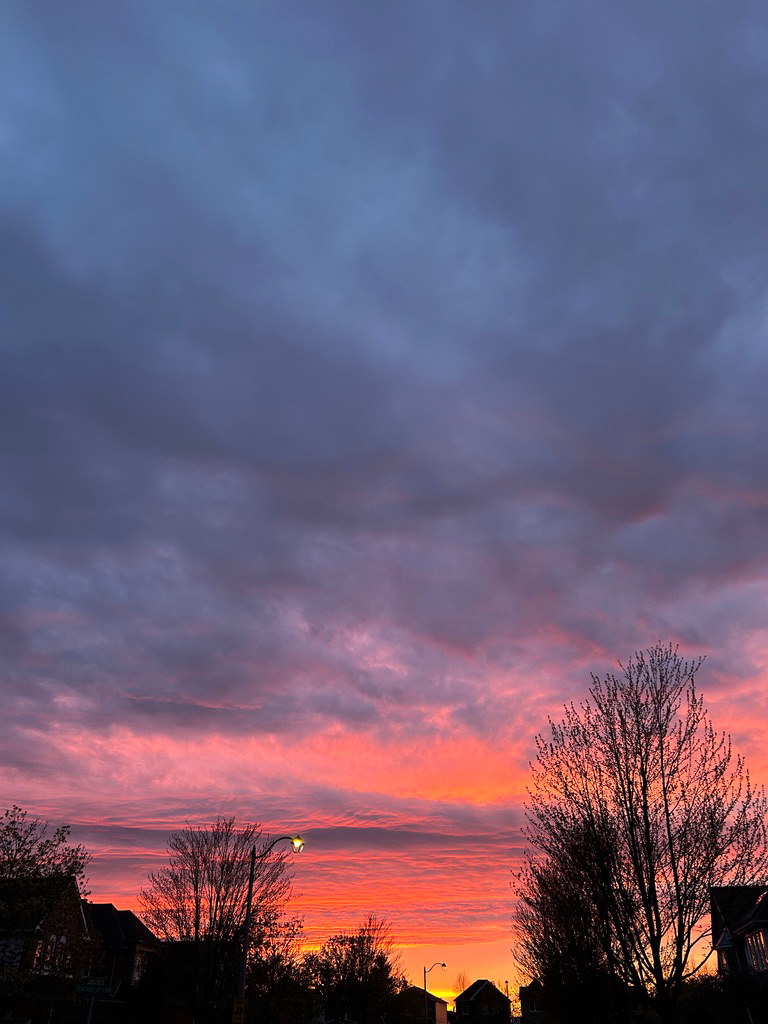 Sunset over the neighbourhood